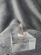 Charger l'image dans la galerie, Tanzanite naturelle pierre de collection