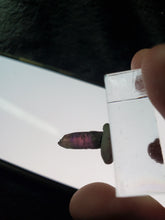 Charger l'image dans la galerie, Tanzanite naturelle pierre de collection