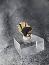 Charger l'image dans la galerie, Rutile sur Hématite du Brésil pierre de collection