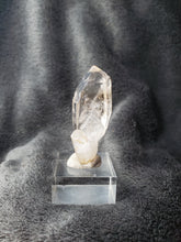 Charger l'image dans la galerie, Quartz fumé zoné enhydro sceptre pierre de collection