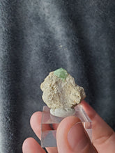 Charger l'image dans la galerie, Grenat Andradite du Pakistan pierre de collection