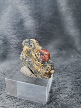 Charger l'image dans la galerie, Zircon sur Biotite du Pakistan pierre de collection