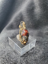 Charger l'image dans la galerie, Zircon sur Biotite du Pakistan pierre de collection