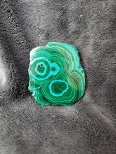 Charger l'image dans la galerie, Chrysocolle Malachite du Congo pierre de collection