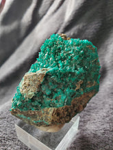 Charger l'image dans la galerie, Dioptase du Congo pierre de collection