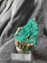 Charger l'image dans la galerie, Dioptase du Congo pierre de collection