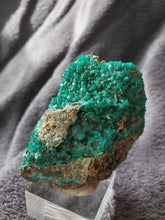 Charger l'image dans la galerie, Dioptase du Congo pierre de collection