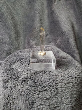 Charger l'image dans la galerie, Citrine naturelle des Alpes pierre de collection