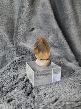 Charger l'image dans la galerie, Citrine naturelle du Congo pierre de collection