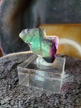 Charger l'image dans la galerie, Fluorite verte - violette de Namibie pierre de collection