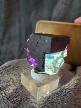 Charger l'image dans la galerie, Fluorite verte - violette Parquet Pattern de Namibie pierre de collection