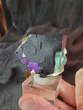 Charger l'image dans la galerie, Fluorite verte - violette Parquet Pattern de Namibie pierre de collection