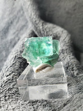 Charger l'image dans la galerie, Fluorite verte - bleue de Namibie pierre de collection