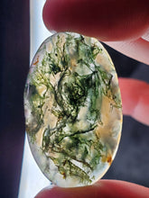 Charger l'image dans la galerie, Agate Mousse d'Inde cabochon