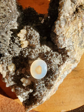 Charger l'image dans la galerie, Cabochon Agate