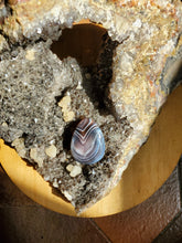Charger l'image dans la galerie, Cabochon Agate du Botswana