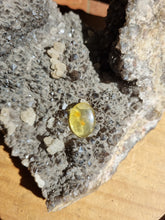 Charger l'image dans la galerie, Cabochon Ambre