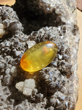 Charger l'image dans la galerie, Cabochon Ambre