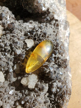 Charger l'image dans la galerie, Cabochon Ambre
