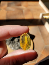Charger l'image dans la galerie, Cabochon Ambre