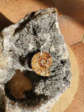 Charger l'image dans la galerie, Collier Ammonite