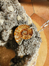 Charger l'image dans la galerie, Collier Ammonite