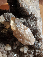 Charger l'image dans la galerie, Citrine naturelle (Congo) pierre de collection