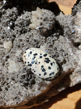 Charger l'image dans la galerie, Cabochon Jaspe Dalmatien