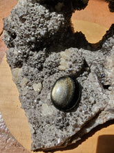 Charger l'image dans la galerie, Cabochon Obsidienne Dorée