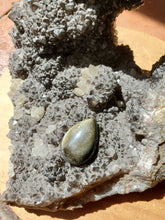 Charger l'image dans la galerie, Cabochon Obsidienne dorée