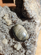 Charger l'image dans la galerie, Cabochon Obsidienne dorée