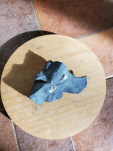 Charger l'image dans la galerie, Pyrite sur Schiste noir (Serre-Ponçon, France) pierre de collection