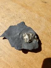 Charger l'image dans la galerie, Pyrite sur Schiste noir (Serre-Ponçon, France) pierre de collection