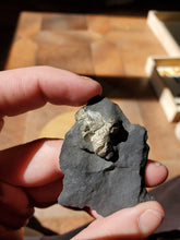 Charger l'image dans la galerie, Pyrite sur Schiste noir (Serre-Ponçon, France) pierre de collection