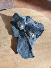 Charger l'image dans la galerie, Pyrite sur Schiste noir (Serre-Ponçon, France) pierre de collection