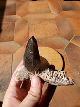 Charger l'image dans la galerie, Quartz fumé et Feldspath (Madagascar) pierre de collection