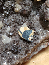 Charger l'image dans la galerie, Rutile sur Hématite (Brésil) pierre de collection