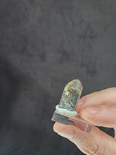 Charger l'image dans la galerie, Tanzanite naturelle 11g (Tanzanie) pierre de collection