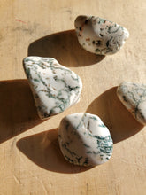 Charger l'image dans la galerie, Agate arbre pierres roulées