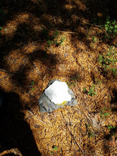 Charger l'image dans la galerie, Howlite pierre brute