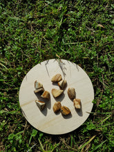 Charger l'image dans la galerie, Jaspe Paysage pierres roulées