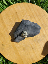 Charger l'image dans la galerie, Pyrite sur Schiste noir (Serre-Ponçon, France) pierre de collection