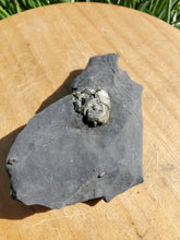 Charger l'image dans la galerie, Pyrite sur Schiste noir (Serre-Ponçon, France) pierre de collection