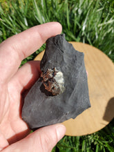 Charger l'image dans la galerie, Pyrite sur Schiste noir (Serre-Ponçon, France) pierre de collection