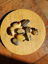 Charger l'image dans la galerie, Septaria pierres roulées