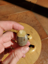 Charger l'image dans la galerie, Septaria pierres roulées