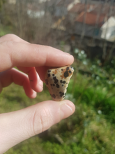 Charger l'image dans la galerie, Jaspe Dalmatien pierres roulées