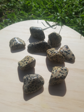 Charger l'image dans la galerie, Jaspe Dalmatien pierres roulées