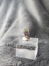 Charger l'image dans la galerie, Tanzanite naturelle pierre de collection
