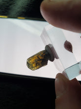 Charger l'image dans la galerie, Tanzanite naturelle pierre de collection
